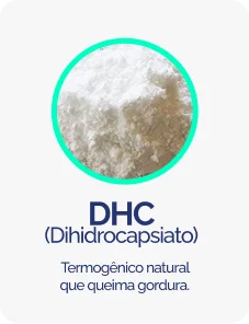 DHC-01.png